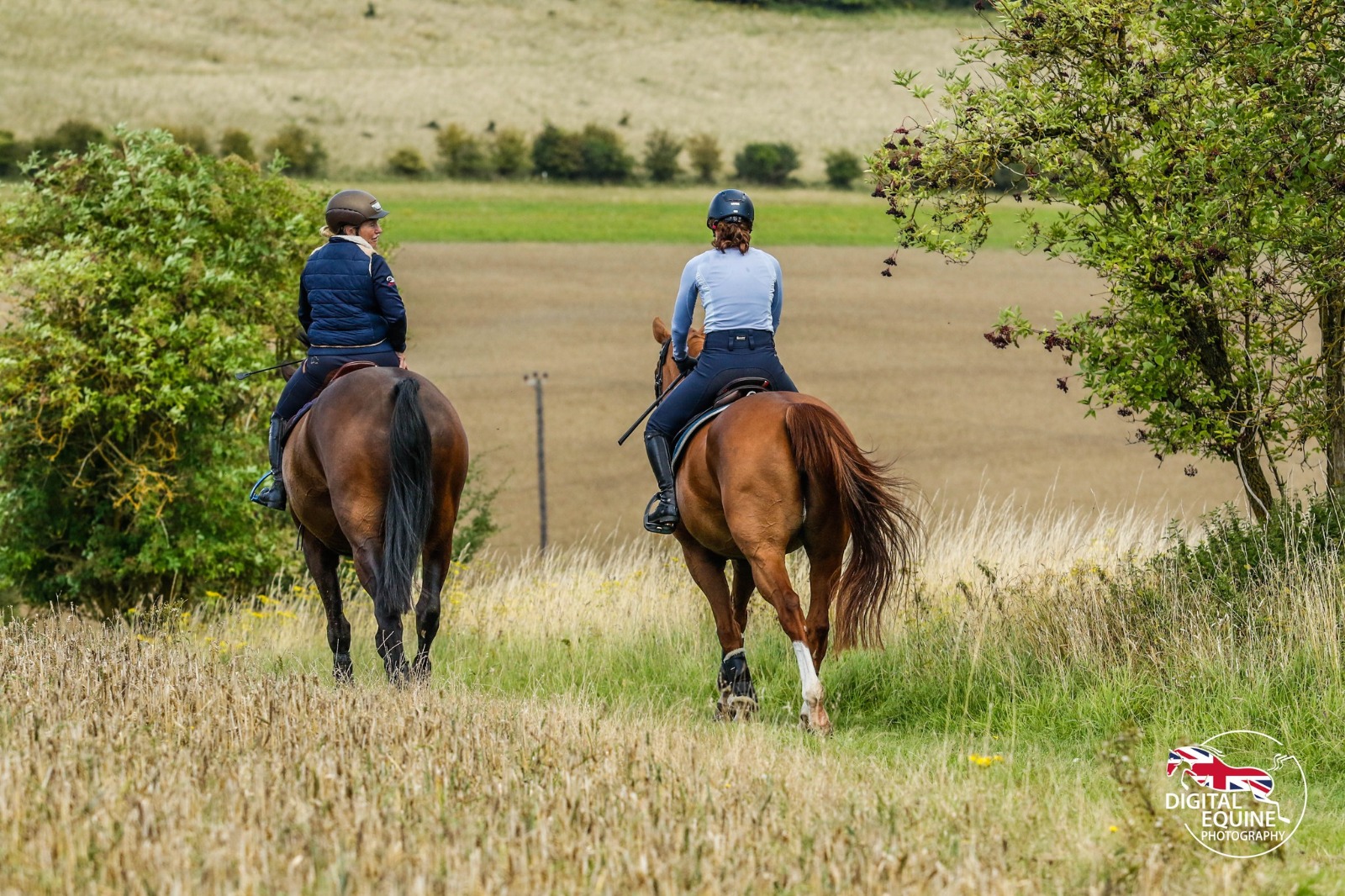 Private guided hack through the Chilterns